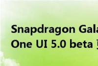 Snapdragon Galaxy S22 也将获得第三次 One UI 5.0 beta 更新