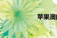 苹果澳门官网报价