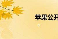 苹果公开版什么意思