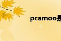 pcamoo是什么手机型号