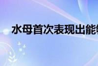 水母首次表现出能够从过去的经验中学习