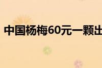 中国杨梅60元一颗出口迪拜 这是什么原因呢