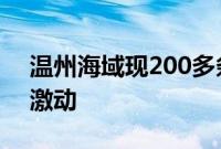 温州海域现200多条海豚嬉戏 网友表示超级激动