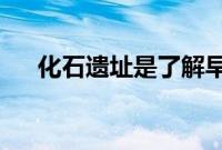 化石遗址是了解早期生活的罗塞塔石碑