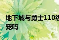 地下城与勇士110级版本宠物封印胶囊能封年宠吗