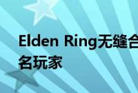 Elden Ring无缝合作模组增加了对多达127名玩家