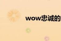 wow忠诚的伙伴任务怎么做