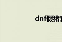 dnf假猪套是什么装备