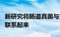 新研究将肠道真菌与克罗恩病患者的肠道炎症联系起来