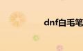 dnf白毛笔是什么武器