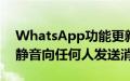 WhatsApp功能更新允许用户在群组通话中静音向任何人发送消息