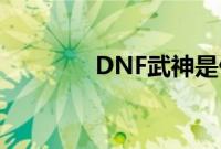 DNF武神是什么职业转职的