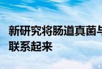 新研究将肠道真菌与克罗恩病患者的肠道炎症联系起来