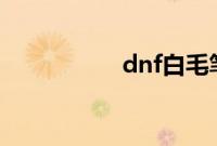 dnf白毛笔是什么武器