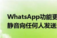 WhatsApp功能更新允许用户在群组通话中静音向任何人发送消息