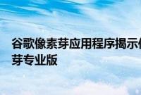 谷歌像素芽应用程序揭示传入的空间音频与头部跟踪更新为芽专业版