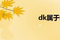 dk属于哪个国家队