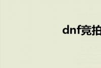 dnf竞拍规则是什么