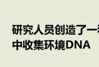 研究人员创造了一种粘性无人机 从森林树冠中收集环境DNA