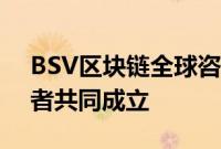 BSV区块链全球咨询委员会与资深行业领导者共同成立