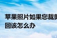 苹果照片如果您裁剪出细节然后又想让它们返回该怎么办