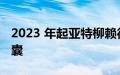 2023 年起亚特柳赖德召回第二排侧面安全气囊