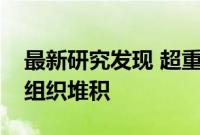 最新研究发现 超重和肥胖人群的气管中脂肪组织堆积